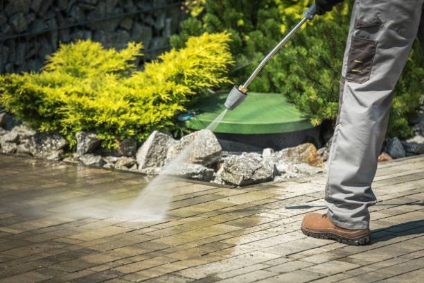 Best Solar Panel Cleaning  in Morrisville, NY